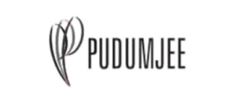 Pudumjee